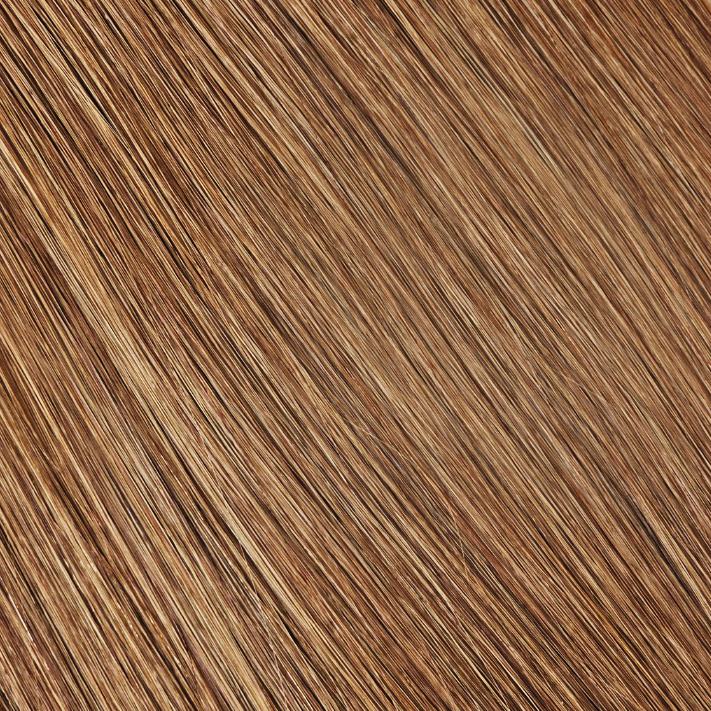 Topper, Chestnut Brown